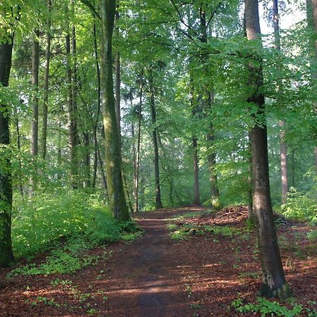 Hotel Waldgasthof Buchenhain Baierbrunn المظهر الخارجي الصورة